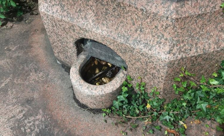 Image 5 of 8