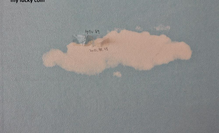 Image 7 of 22