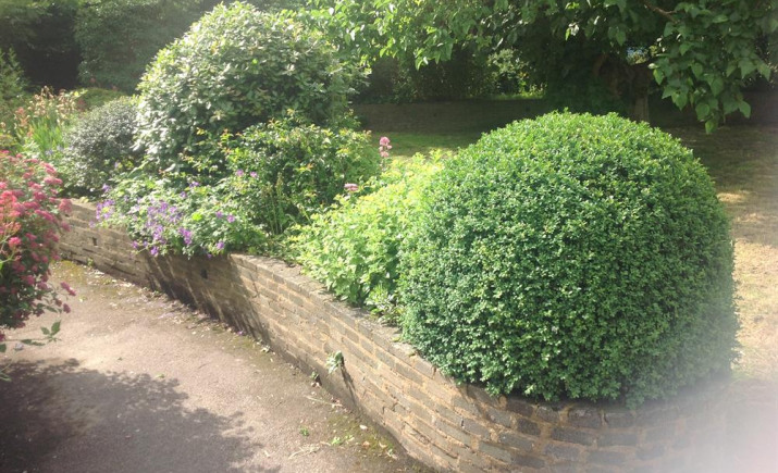 Image 8 of 17