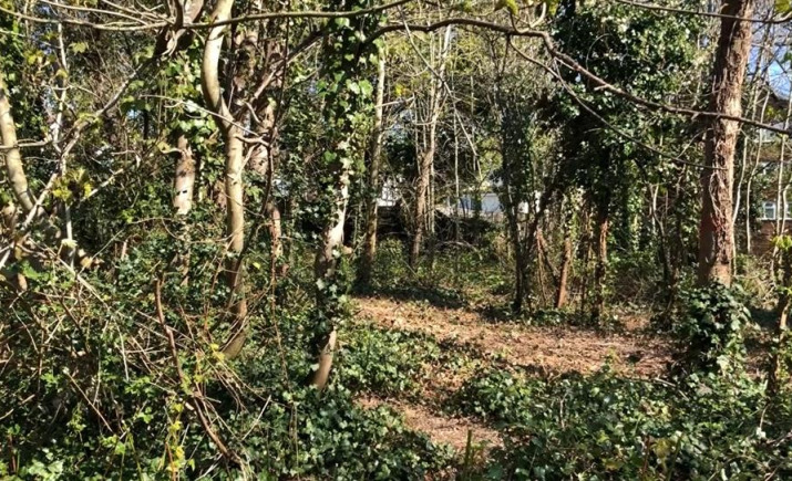 finchley-way.jpg