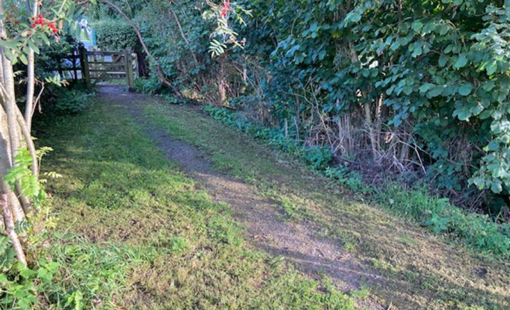 Image 13 of 16