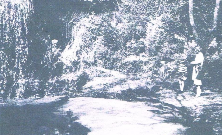 Image 69 of 104