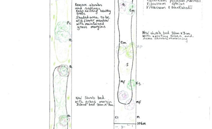 Image 2 of 14
