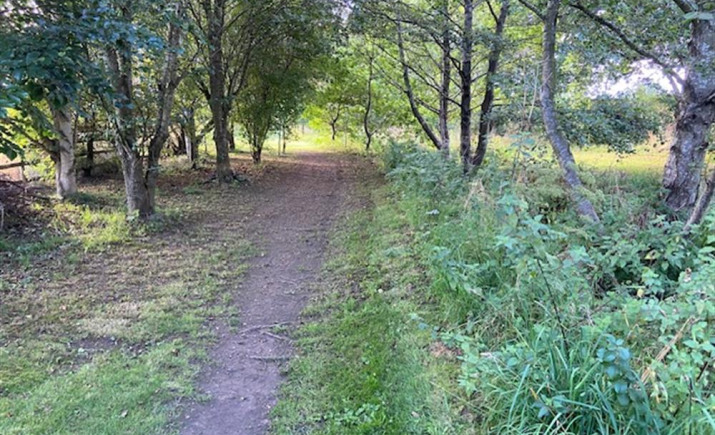 Image 4 of 16