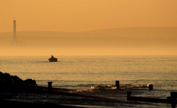 Image 10 of 12