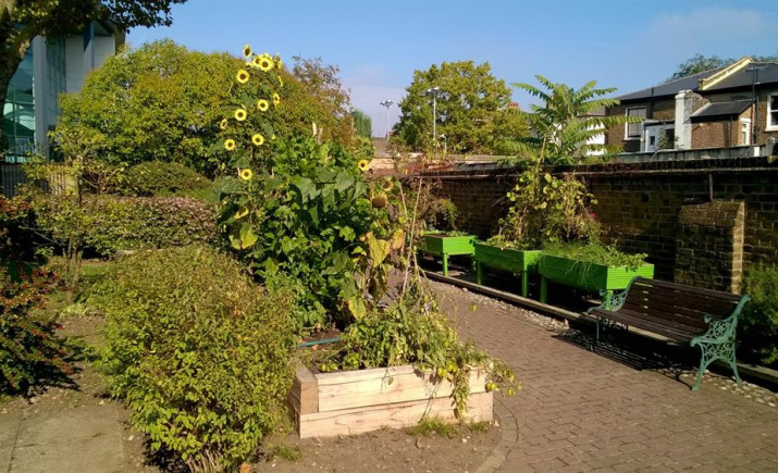 Image 6 of 5