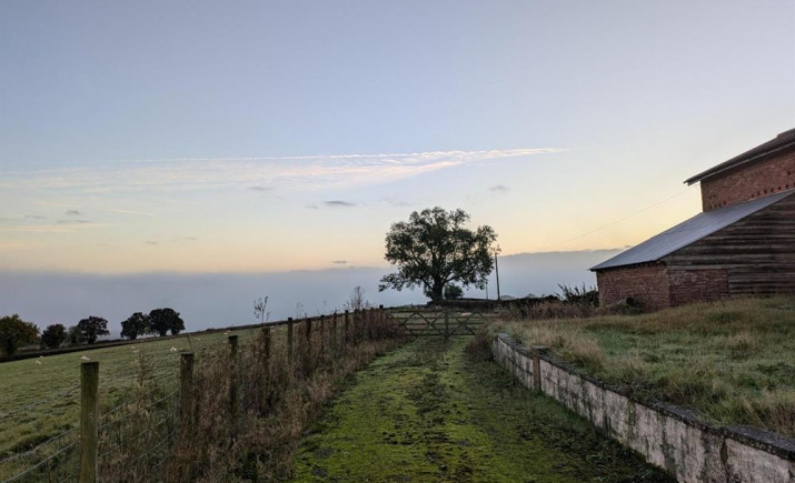 Image 4 of 8