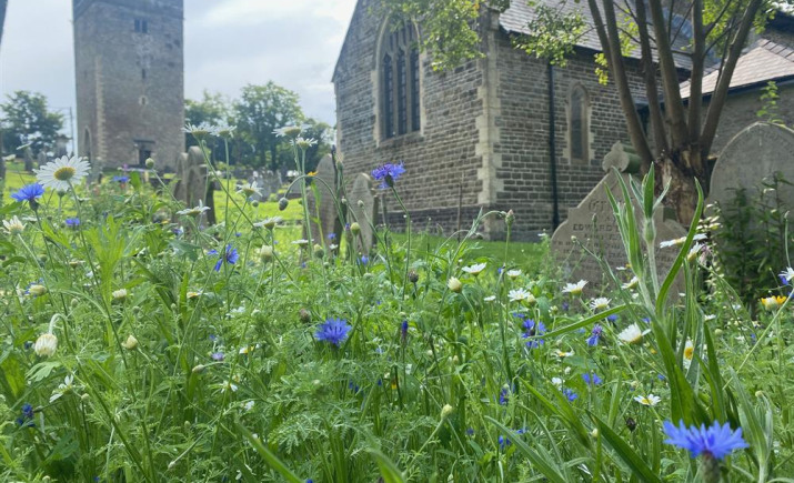Image 12 of 18