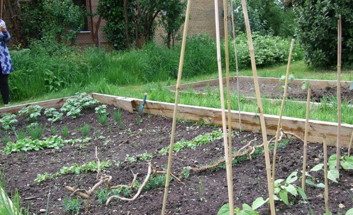 Image 7 of 7