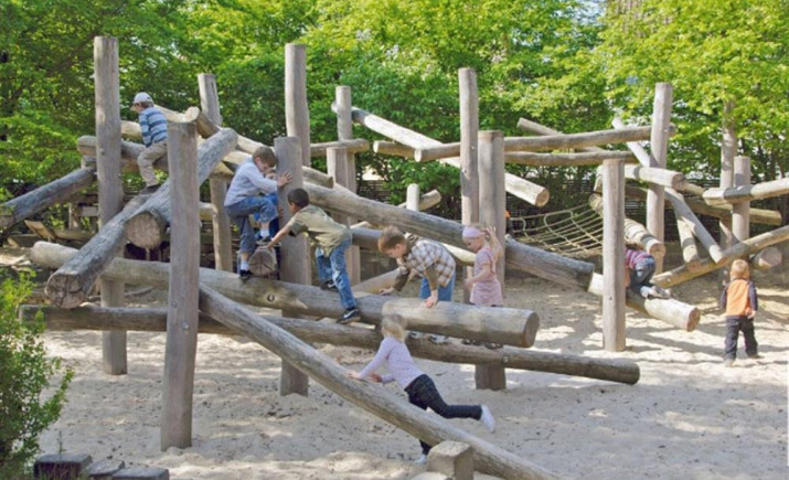 timberplay-example.jpg