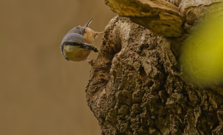 Image 16 of 19