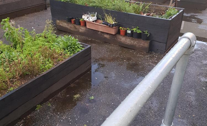 Image 2 of 4