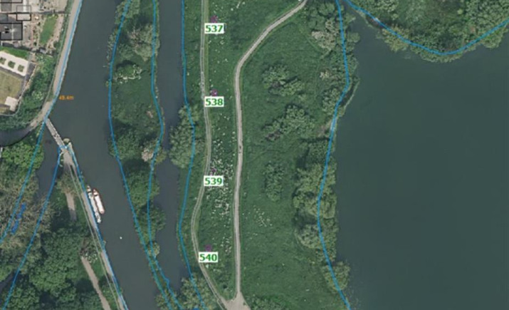 Image 6 of 8