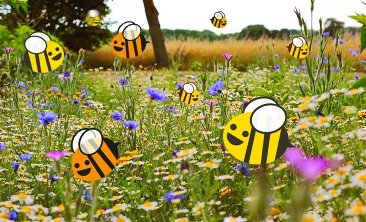 bees-and-blooms.jpg