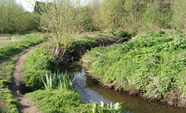 Image 16 of 18