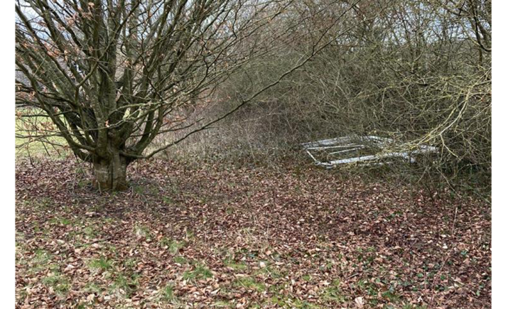 Image 7 of 30