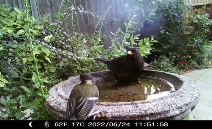 Image 19 of 25