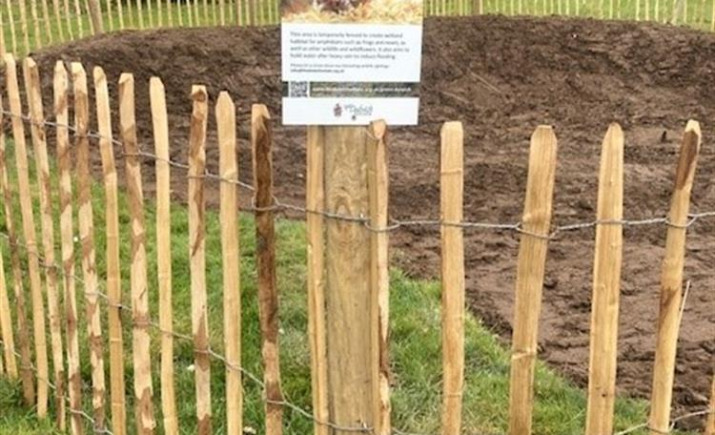 Image 4 of 8