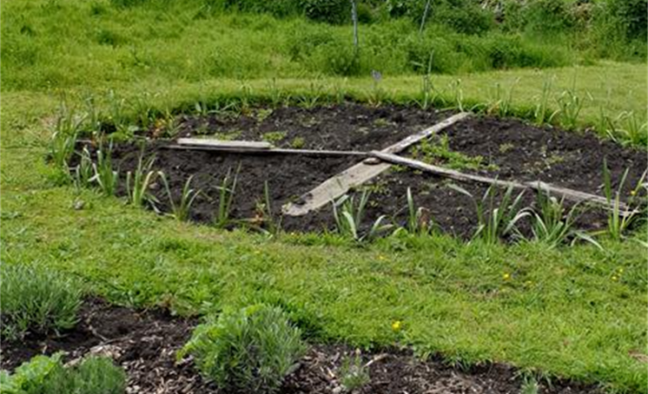 Image 44 of 52