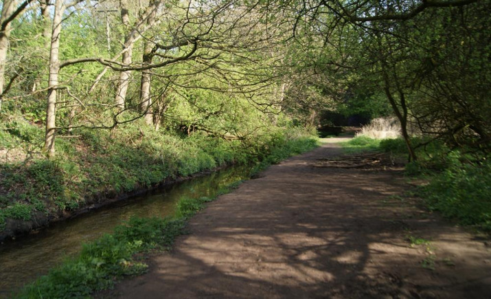 Image 6 of 18