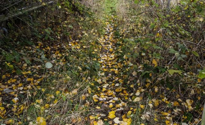 Image 19 of 24