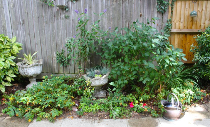 Image 21 of 25