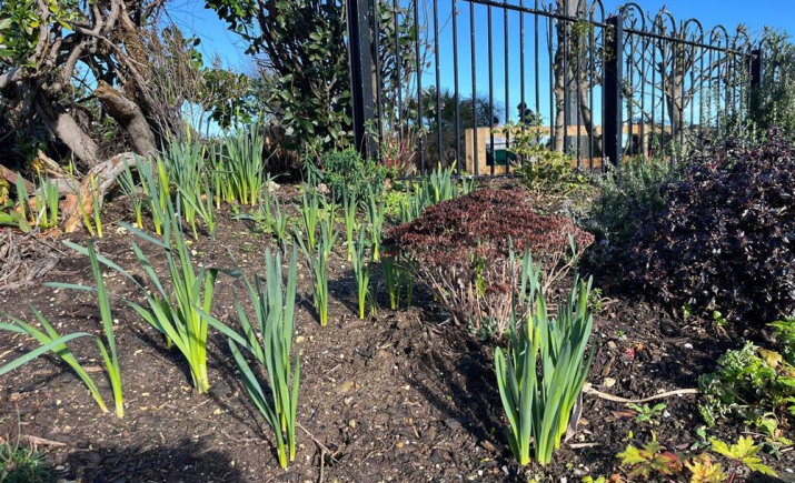 Image 10 of 32