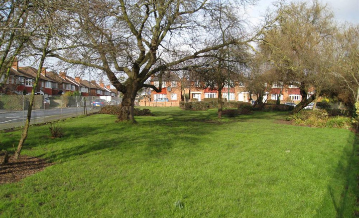 Image 13 of 21