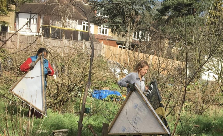 Image 26 of 41