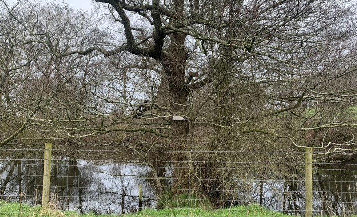 Image 22 of 22
