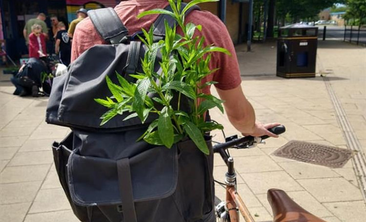 Image 24 of 24