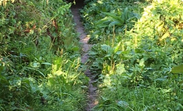 Image 8 of 18