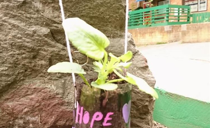 Image 7 of 24