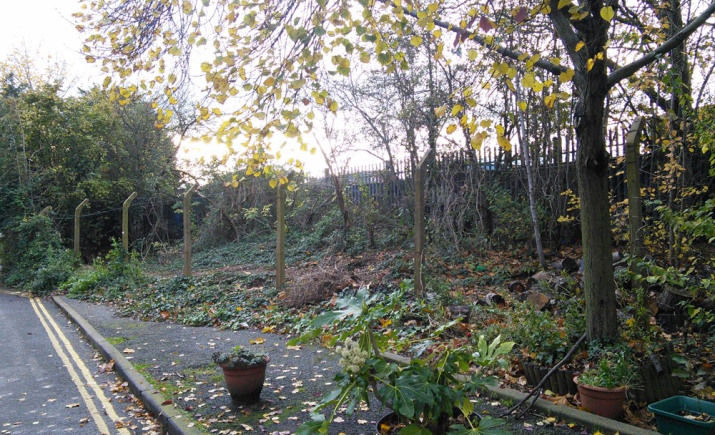 Image 11 of 11