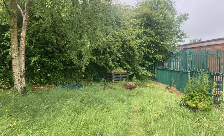 Image 4 of 16