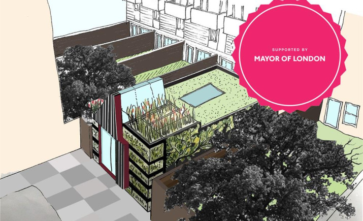 3-d-architect-drawing-rosette.jpeg