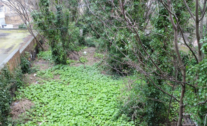 img-9787.jpg