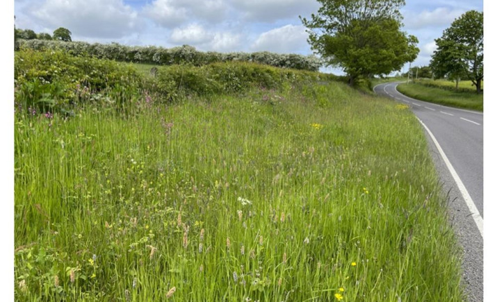 Image 14 of 16