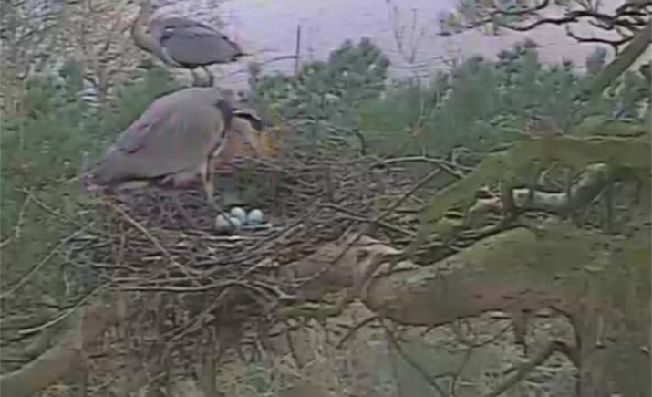 Image 6 of 6