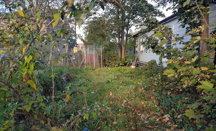 Image 4 of 29