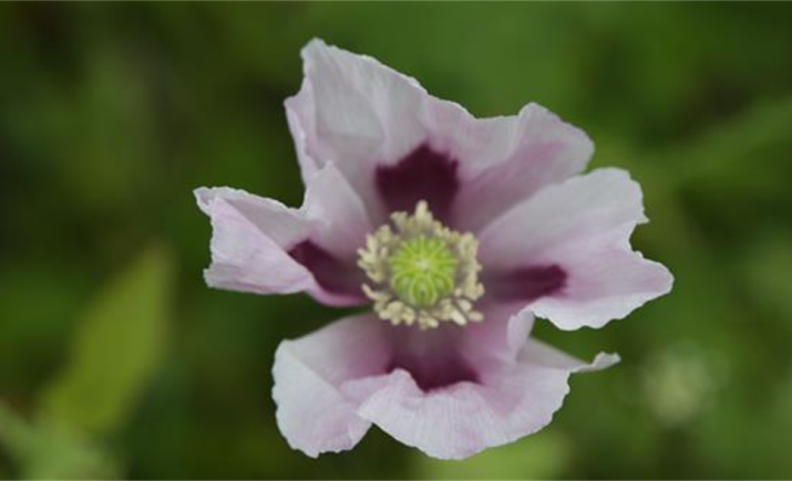 Image 11 of 16
