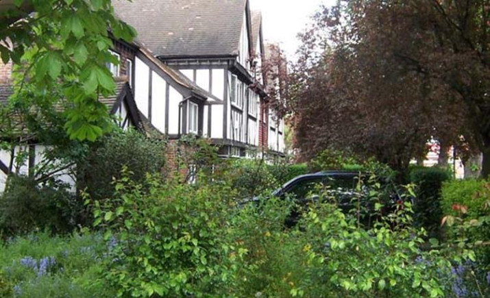 Image 8 of 14
