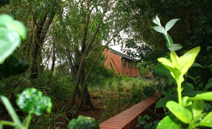 Image 6 of 6