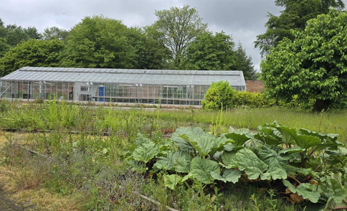Image 10 of 11