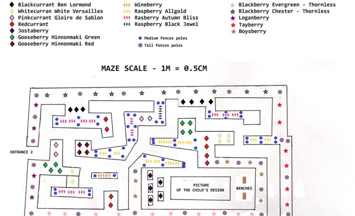 maze-scale-with-pats-in-good.jpg