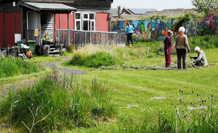 bower-making-may-2019.jpg