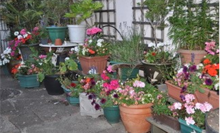 Image 10 of 12