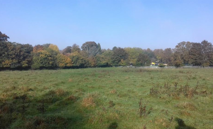 Image 4 of 6