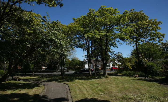 Image 12 of 13