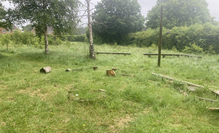 Image 13 of 16